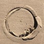 ireless - Shutter Flute