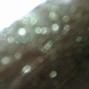 ireless - Rainsoaked Parade