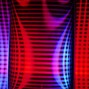 zebrahaus - 8