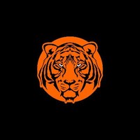 Tygra Beats