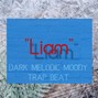 Larry Weezy - [Free] Liam - dark x melodic x moody Trap Beat