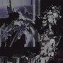 prspcv - Black Palms