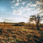 Riclaudio - Savanna
