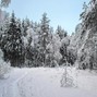 Frozeboi Sam - Winter