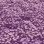 Purple Hex - Juice Wrld Type - Sometimes