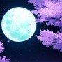 Purple Hex - Moonlight