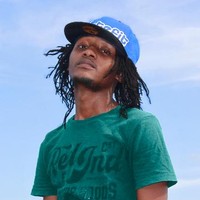 Ivox