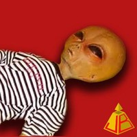 Jay Beats
