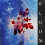 Wavify Collective - [FREE] *Playboi Carti x Underwater Type Beat - "Bloom"