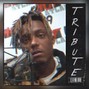 Wavify Collective - [FREE] MELLOW JUICE WRLD TYPE BEAT - "Tribute" [Prod. Raza K]