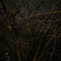 unvrsblank - penicilin