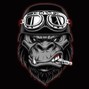 Vip beatz - "To The Top" 