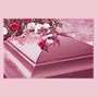 jerimiahmusic - Early Rose