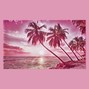 jerimiahmusic - Sun Burn
