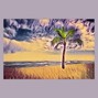 jerimiahmusic - Paradise