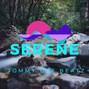 Tommy Dee Beatz - Lil Mosey Type Beat - Serene