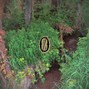 DØPE - Swamp Music - Southern Fried Hip Hop Beat