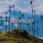 Jhon Roy - Tropical
