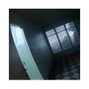 Rain - Sorry