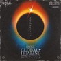 MEBIUS - GLOBAL HEALING