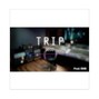 Ramizmakesbeats - TRIP