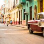 areca palma - Havana