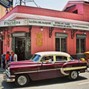areca palma - cuba