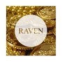 RAVEN BEATS - THE DOPEST BEAT EVER
