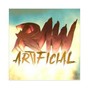 RAW - ARTIFICIAL