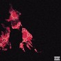 ICEDOUTRAY - HELL SENT