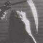 TYP - Trakhawk