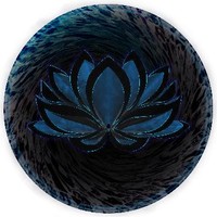 Blue Boy Lotus