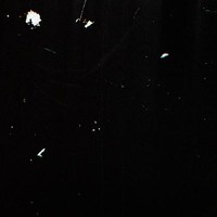 wyld