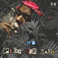 PlugGeeHazy