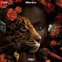ZIOAN - Hype