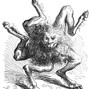 CryBabyy - Ars Goetia