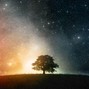 DAVINXII - Wonderous nights