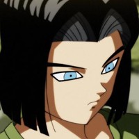 REIN