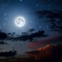 11.11Studios - moonlight
