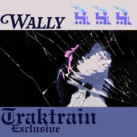 wallyfromthewire