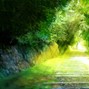 matariii - voices from the forrest w/ p6nk