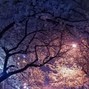 pvlbeatzz - NIGHT