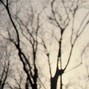 Ricky Eat Acid - dark, moody voice + drum beat, minimal&cold 