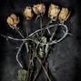 BLVCK CAT - FAREWELL FLOWERS