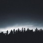BLVCK CAT - LOST IN THE WOODS