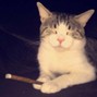 lars from alaska - XAN KR3W