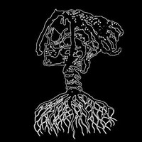 ROOTS 