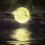 Curry - Moon