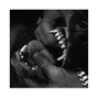 rubenxguti - Thugger