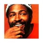 RUMAN OGT  - Marvin